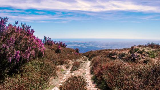 At 902 metres, Mount Fóia is the highest mountain in the Algarve, affording panoramic views out to the Atlantic Ocean