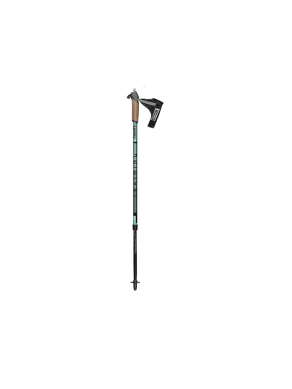 Masters  Nordic Walking Stick  Groen main product image