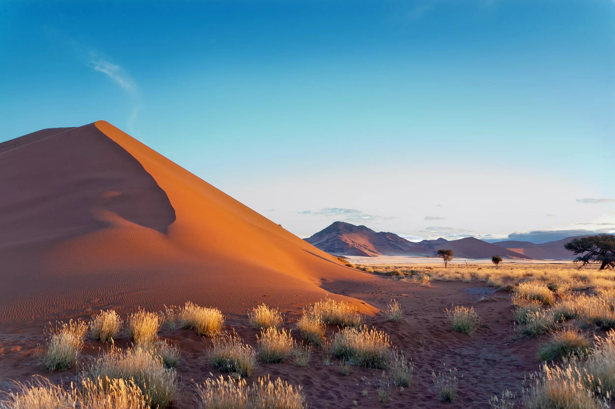 Rondreis Namibië? → Bekijk 79x Rondreizen Van 10 Aanbieders!