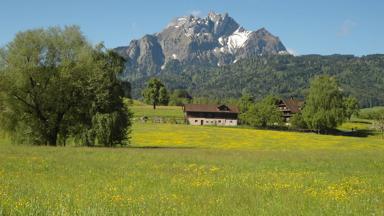 zwitserland_luzern_horw_pilatus-berg_bergen_alpenweide_pixabay