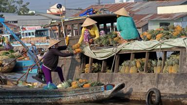 vietnam_mekong-delta_can-tho_cai-rang_ananas_drijvende-markt_a.jpg