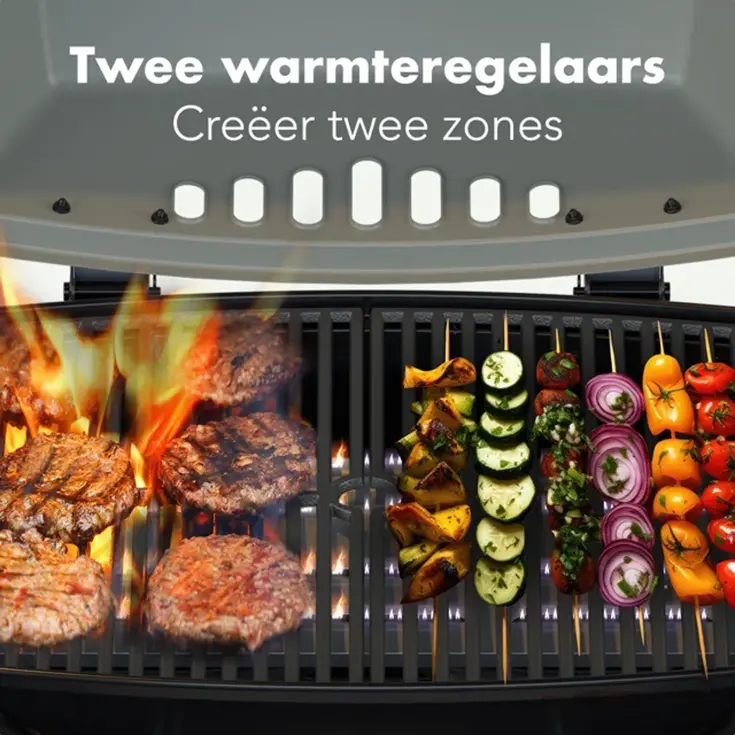 Gas BBQ – 2 Branders