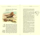 Reisgids Antarctica Wildlife 8