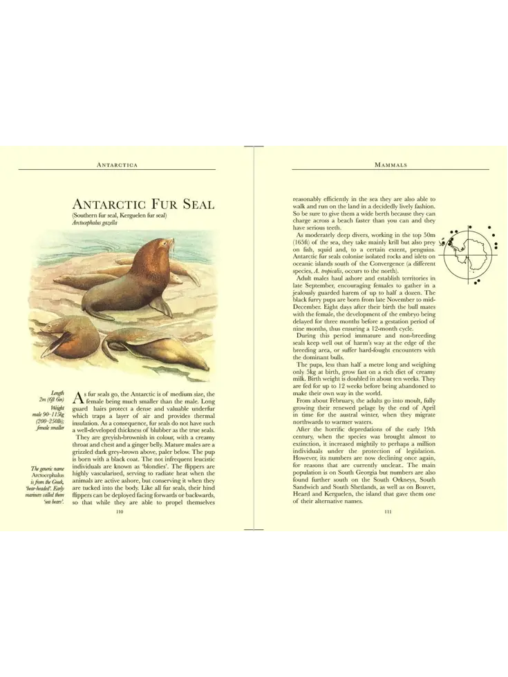 Reisgids Antarctica Wildlife 8
