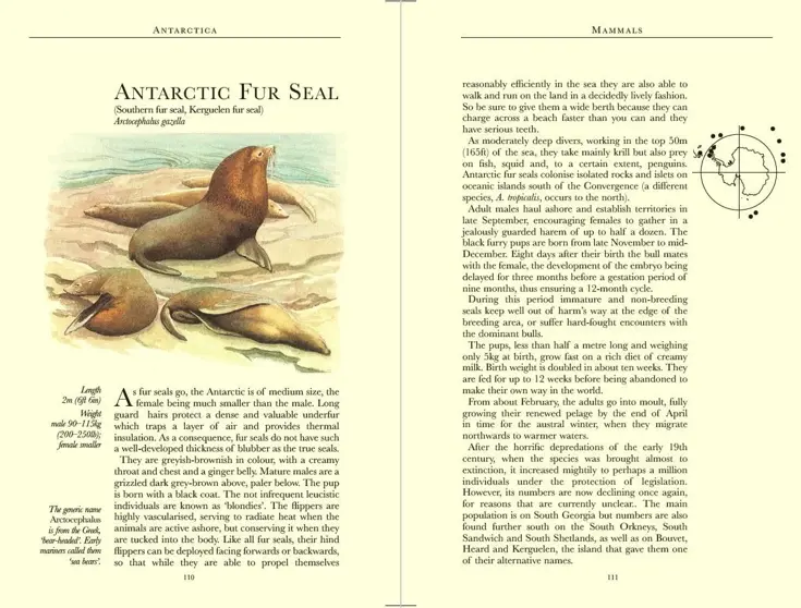 Reisgids Antarctica Wildlife 8