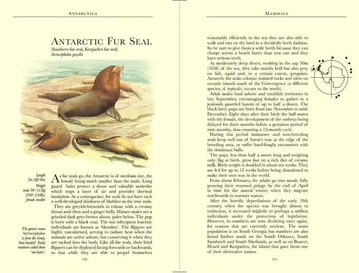 Reisgids Antarctica Wildlife 8