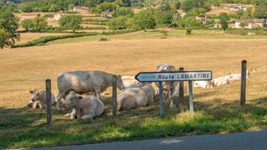 sfeer_frankrijk_bourgogne_jura_route-lamartine_crt-bourgogne-franche-comte_copyright_Alain-Doire (12).jpg