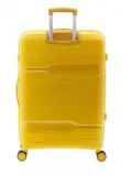 Boxing - Grote koffer - 77cm - 115L