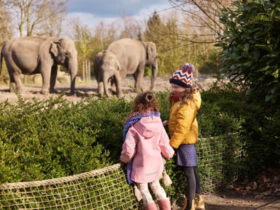 Impressie van Eindhoven Zoo