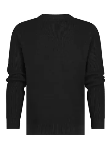 Lancaster - Trui heren - Human Nature