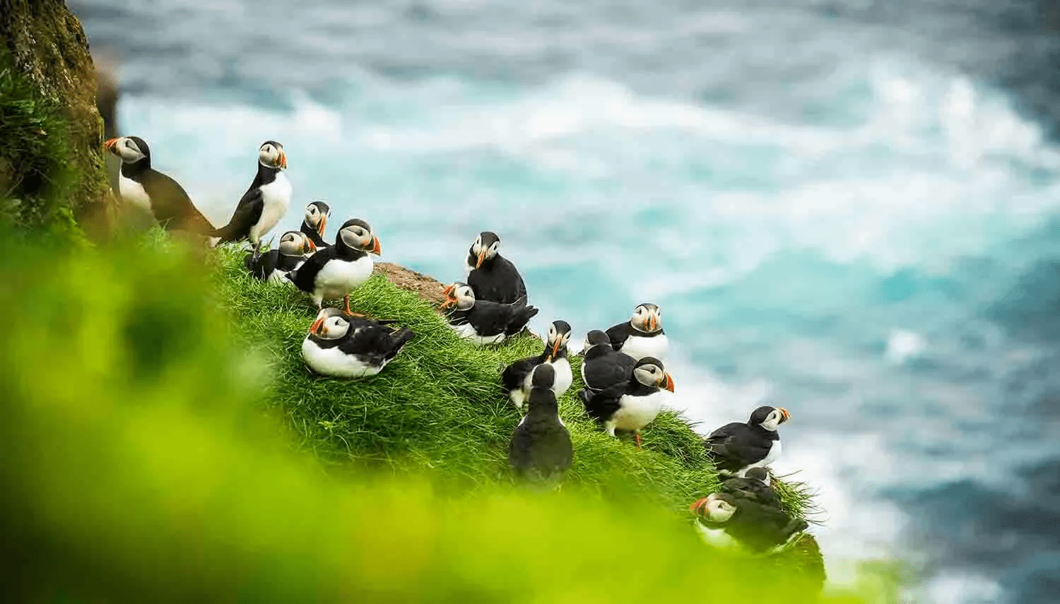 22-daagse cruise Schotland, IJsland en Groenland - MS Nieuw Statendam