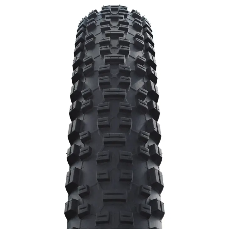 Buitenband Rapid Rob 29x2.10 - zwart - 54-622