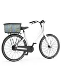 Fietsmand Basky Van Gogh Bloesem