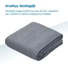 ProPlus Tenttapijt - 250 x 300cm