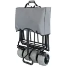 Eurotrail Strandkar Sunny Antraciet