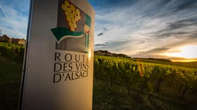 Route du vin Elzas 019.jpg