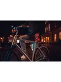 Axa Achterlicht Dwn Signal Usb Zadelpen