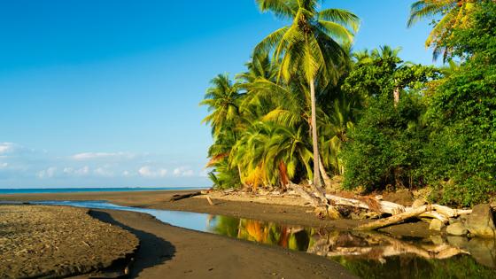 Strand uvita dominical 1