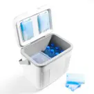 Brisby - Koelbox - 22L