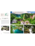 Rough Guides Wild Earth