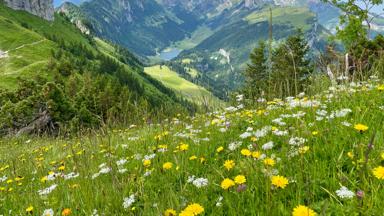 Zwitserland, Appenzell Innerrhoden, Alpstein - GettyImages-1492647938