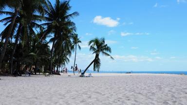 thailand_hua-hin_strand_palmboom_paard_b.jpg