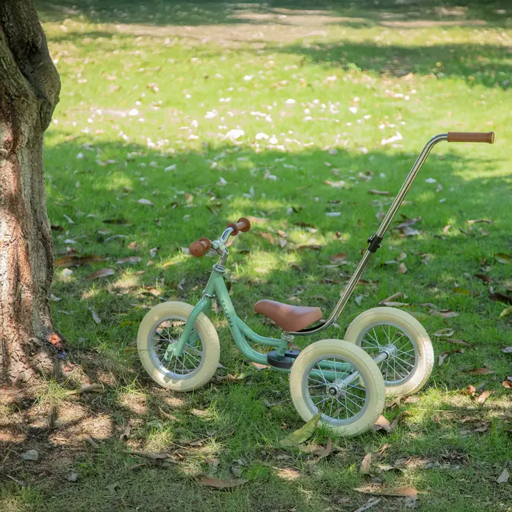 2-in-1 Loopfiets Driewieler met Duwstang