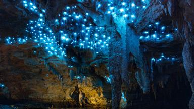 nieuw-zeeland_waitomo_grot_gloeiwormen_a