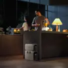 EcoFlow Power Station Delta 3 battery
