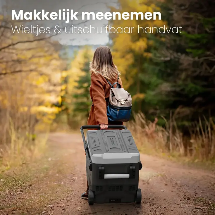 Compressor Koelbox – 49L – Grijs