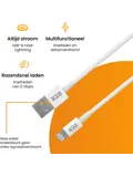 USB-A naar Lightning Kabel - 2 Meter