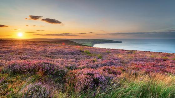 engeland_yorkshire_ravenscar_north york moors national park_shutterstock_1481844023