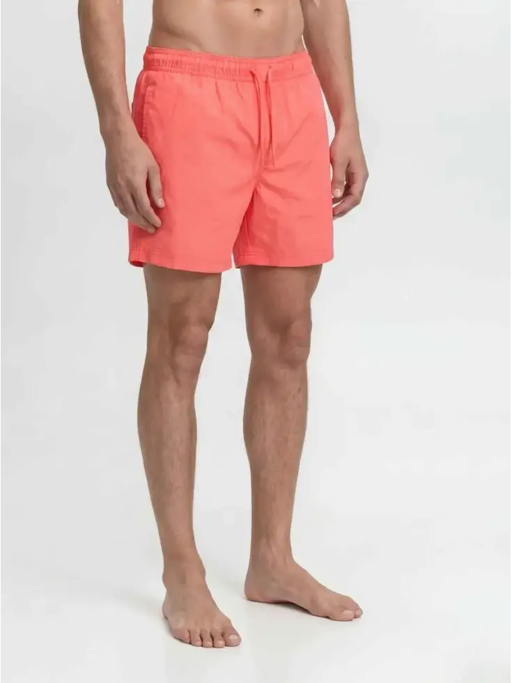 Tropic Solid - Heren - Zwembroek