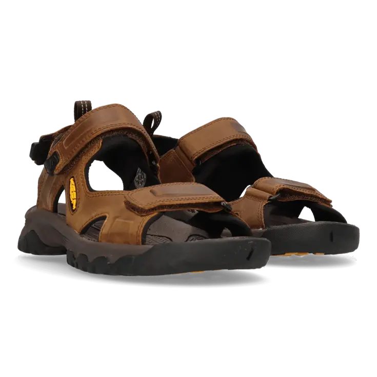 Targhee III - Wandelschoenen - Heren