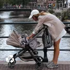 Wildride schouderluiertas