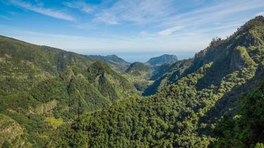 Beelden komen van Turismo do Portugal in Madeira.

Iedere foto heeft zijn eigen naam en copyright, die wij dienen te gebruiken.