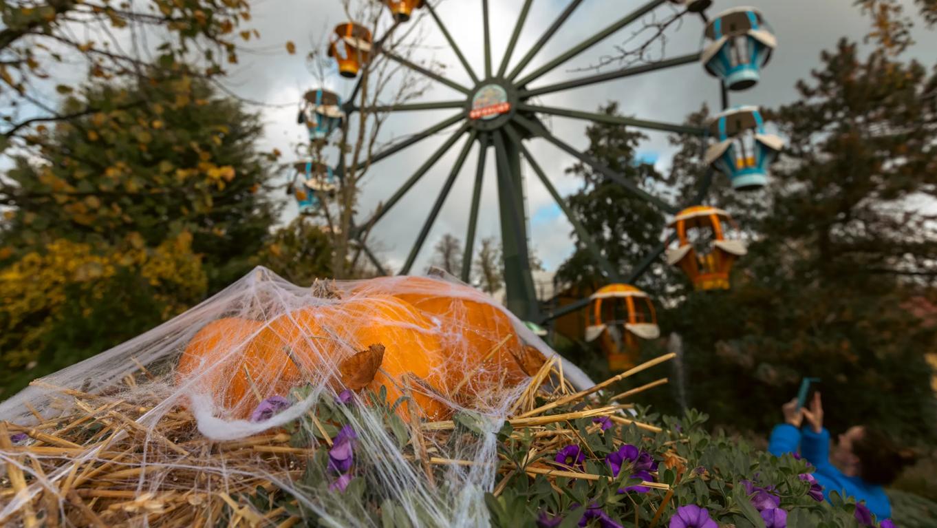 Pretpark Drievliet
