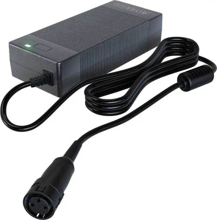 Lader geschikt voor Gazelle Innergy 48V2A