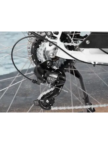 SAXXX Comfort Sport Easy dames ebike 7 sp 13Ah