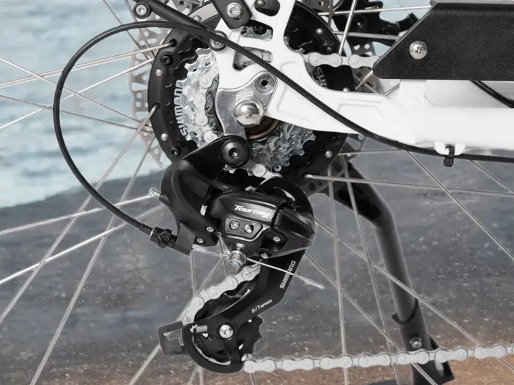 SAXXX Comfort Sport Easy dames ebike 7 sp 13Ah