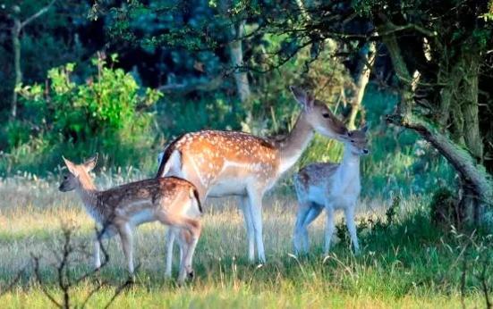 Doe mee aan inwonersraadpleging landelijk gebied Noord-Holland