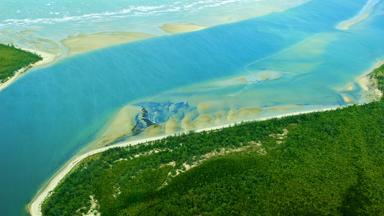 australie_queensland_daintree-national-park_cape-tribulation_tropisch-bos_zee_kust_b