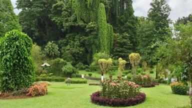 sri lanka_kandy_peradeniya botanische tuin_shutterstock_b