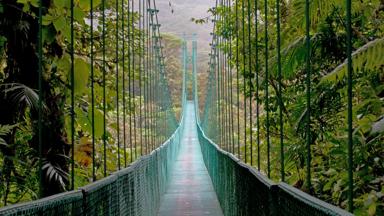 costa-rica_monteverde_hangbrug_boomtopwandelen_b.jpg