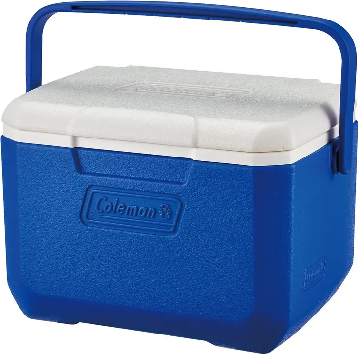 Personal 6 koelbox 4.7liter