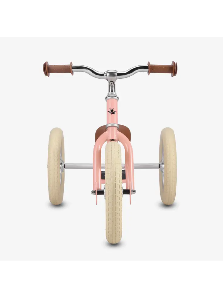 2-in-1 Loopfiets Driewieler met Duwstang