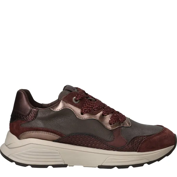 Rainbow Stretchwalker GX veterschoenen Dames