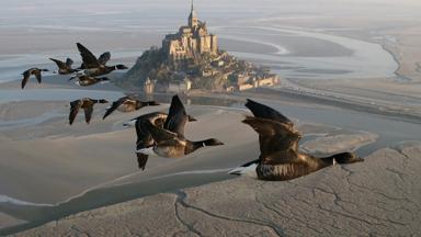 wandelrondreis_frankrijk_bretagne_s-cape_mont-saint-michel_vogels_luchtfoto_crt_bretagne