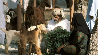 oman_nizwa_veemarkt_geitenmarkt_markt_a