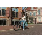 Voltano Luxe E-bike Fietstas / Rugtas